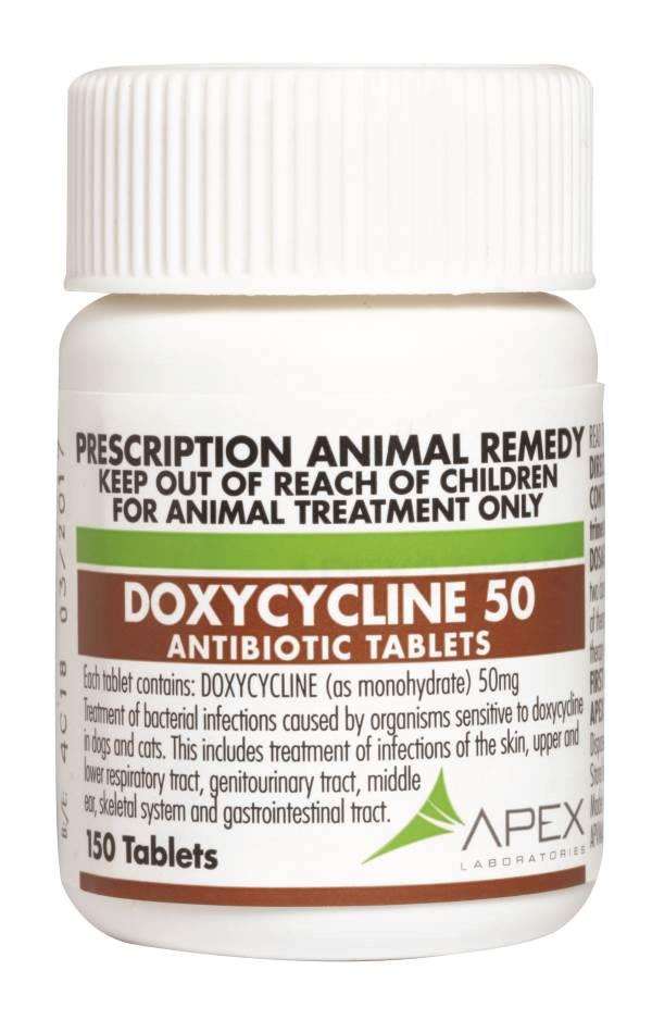 36 Best Images Doxycycline Uses For Cats / Order Doxycycline Hyclate