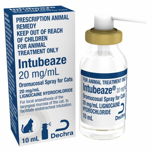 Intubeaze